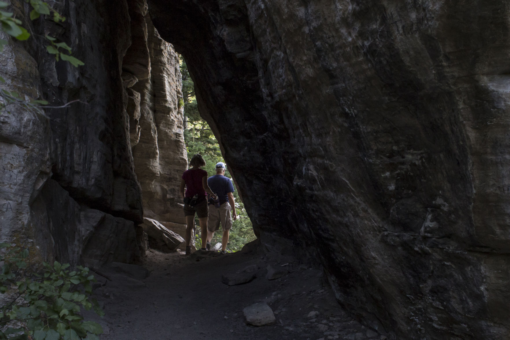 Bridle Trail
